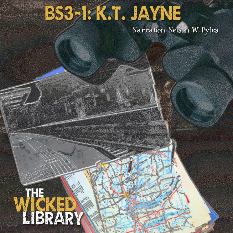 BS3-1: "Push Button, Get Bacon" by  K.T. Jayne